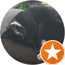 Pj Cotgrave's profile image