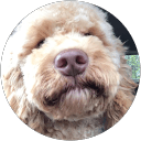 Kyle Jackson's profile image