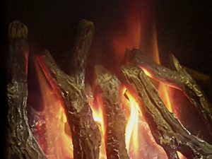 Verine Alpena Balanced Flue Gas Fire