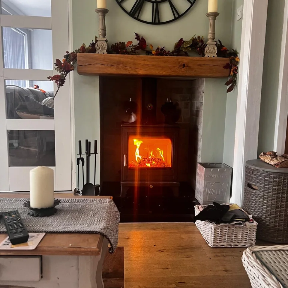wood burning stove