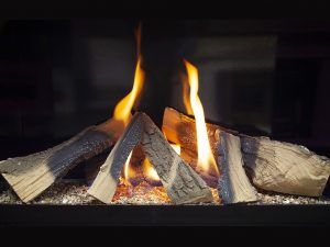 Aleesia Illumia Suite