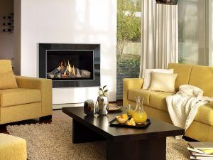 Aleesia Gas Fire